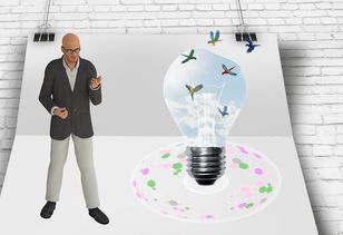 星空体育-中国篮球职业联赛俱乐部财务风险管理及控制，篮球俱乐部的风险与对策