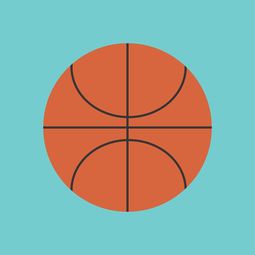 星空体育官网-中国篮球职业联赛市场竞争环境与发展策略，中国竞技篮球的发展趋势