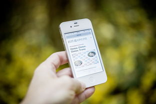 星空体育官网-高校体育智能监控系统设计与应用，高校体育gps