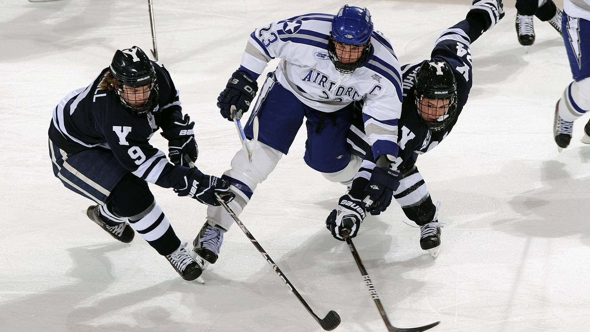 星空体育网页版-体育文化活动进校园激发学生兴趣，开展校园体育文化活动的主要途径是什么